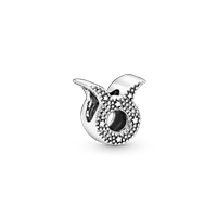 Charm Pandora Pandora Moments in Argento 798418C01 - 798418C01